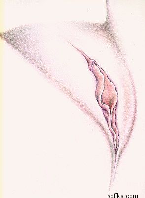 Художественное раскрытие темы пелотки :)