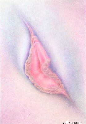 Художественное раскрытие темы пелотки :)