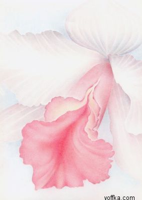 Художественное раскрытие темы пелотки :)