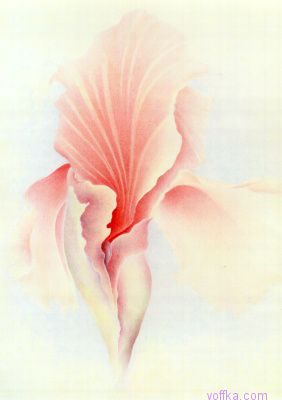 Художественное раскрытие темы пелотки :)