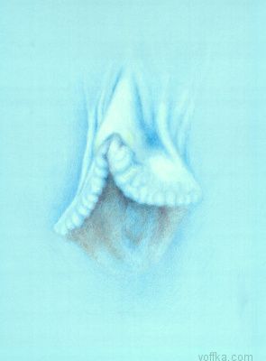 Художественное раскрытие темы пелотки :)