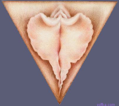 Художественное раскрытие темы пелотки :)