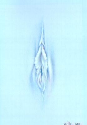 Художественное раскрытие темы пелотки :)