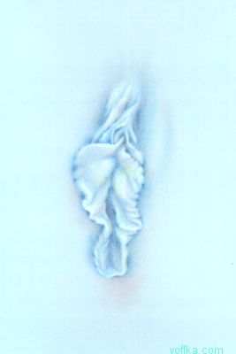 Художественное раскрытие темы пелотки :)