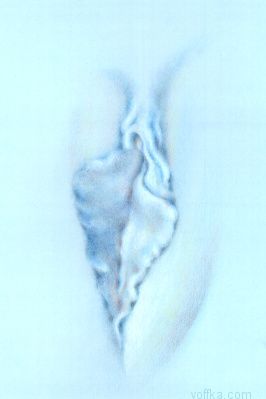 Художественное раскрытие темы пелотки :)