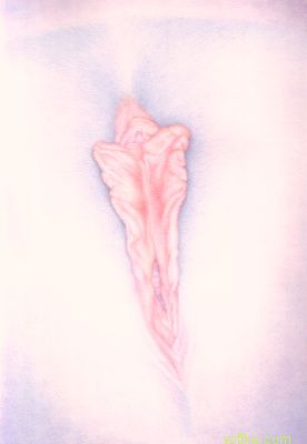 Художественное раскрытие темы пелотки :)