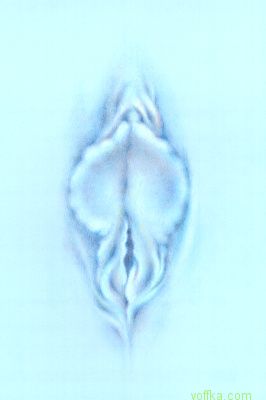 Художественное раскрытие темы пелотки :)