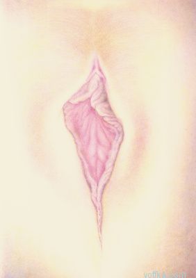 Художественное раскрытие темы пелотки :)