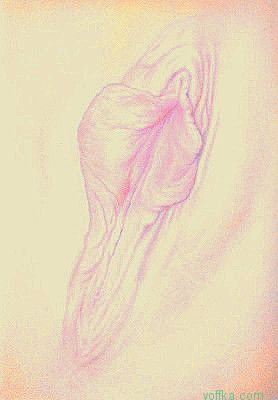 Художественное раскрытие темы пелотки :)