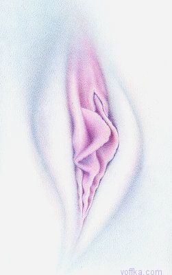 Художественное раскрытие темы пелотки :)