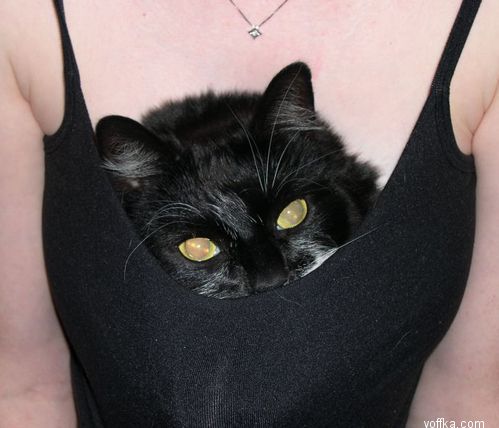 в хорошем месте