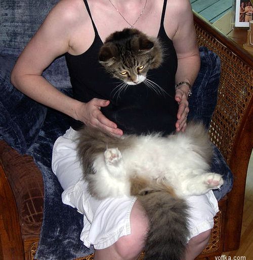 в хорошем месте