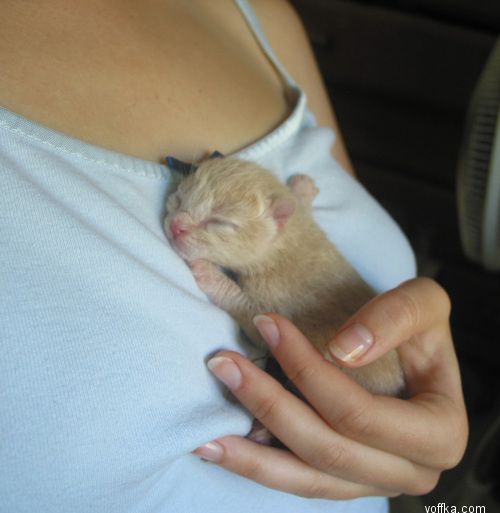 в хорошем месте