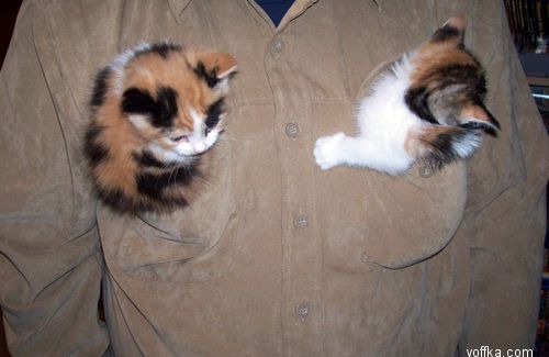 в хорошем месте