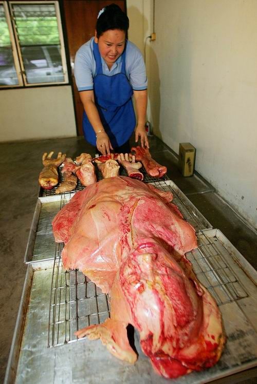 ��������� ����� ����