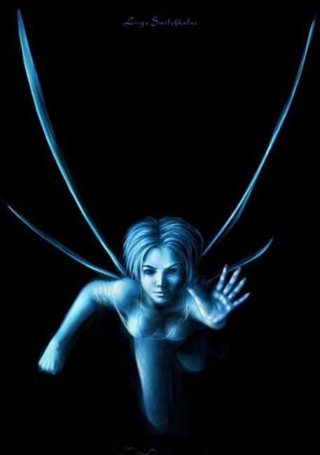 �������