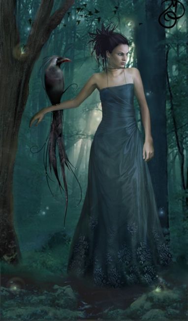 �������