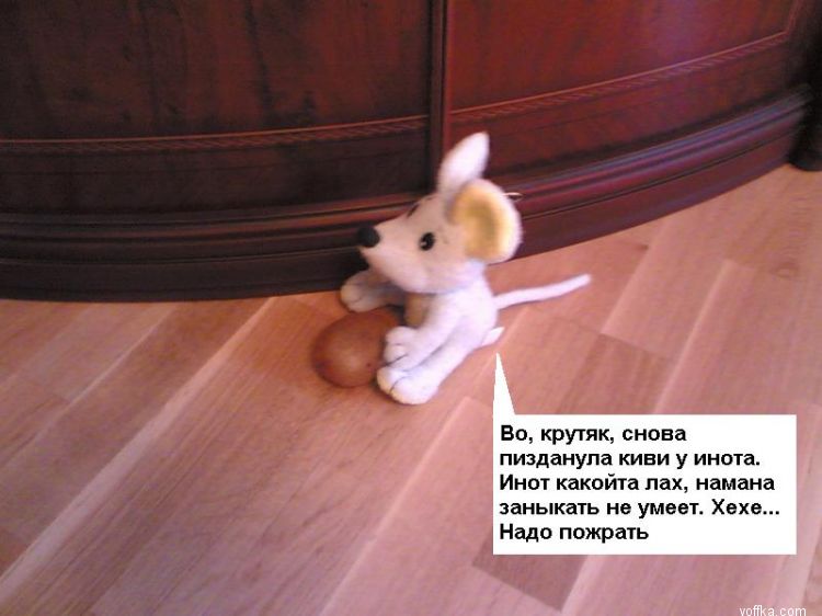 ������ ������ 