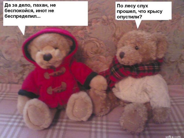 ������ ������ 