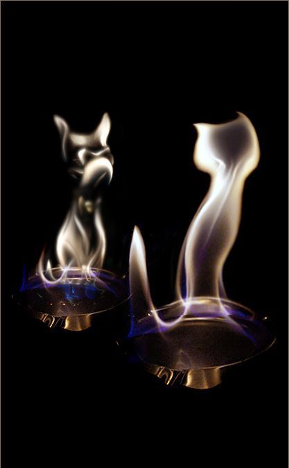 �������� �����