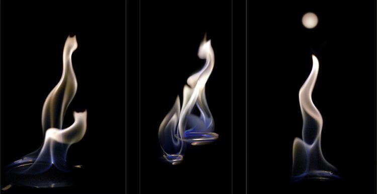 �������� �����