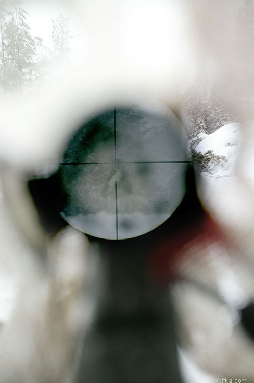 ����� � ���������� �������