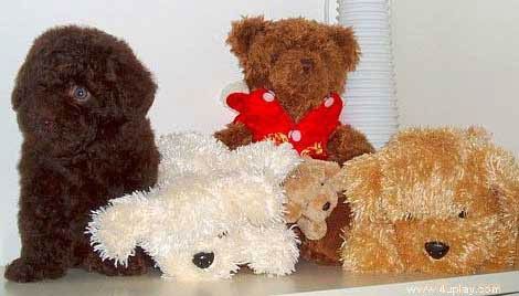 �������.. ��� ����������..