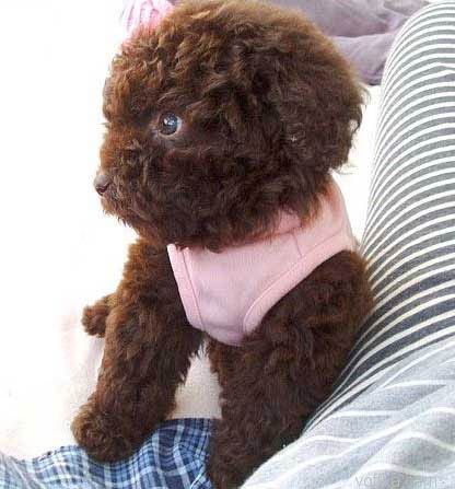 �������.. ��� ����������..