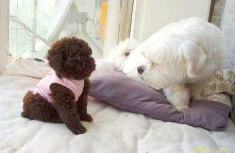 �������.. ��� ����������..