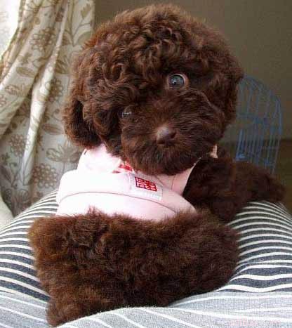 �������.. ��� ����������..