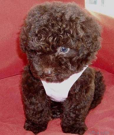 �������.. ��� ����������..