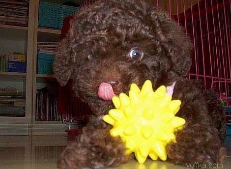 �������.. ��� ����������..