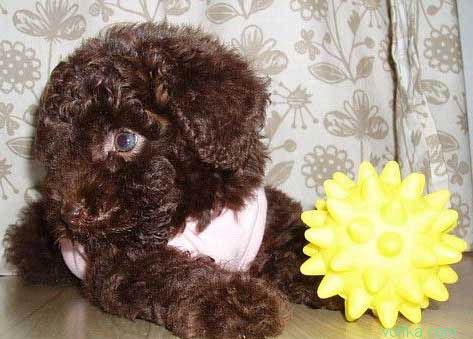 �������.. ��� ����������..