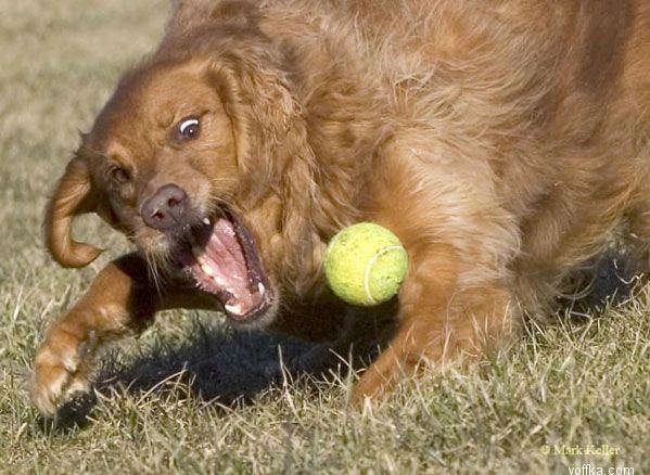 ������ � ��� 