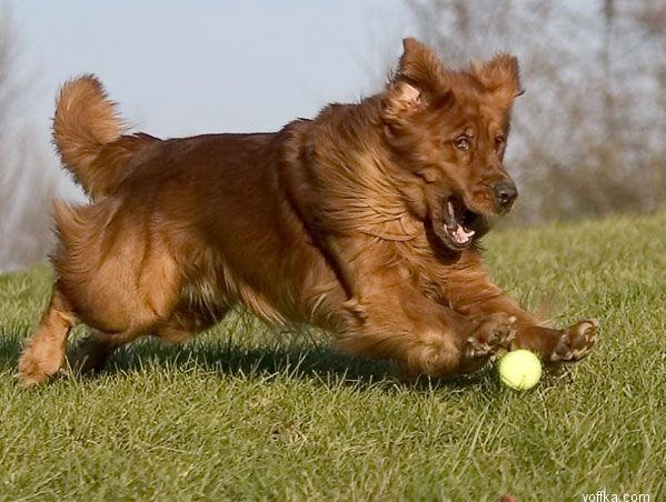 ������ � ��� 