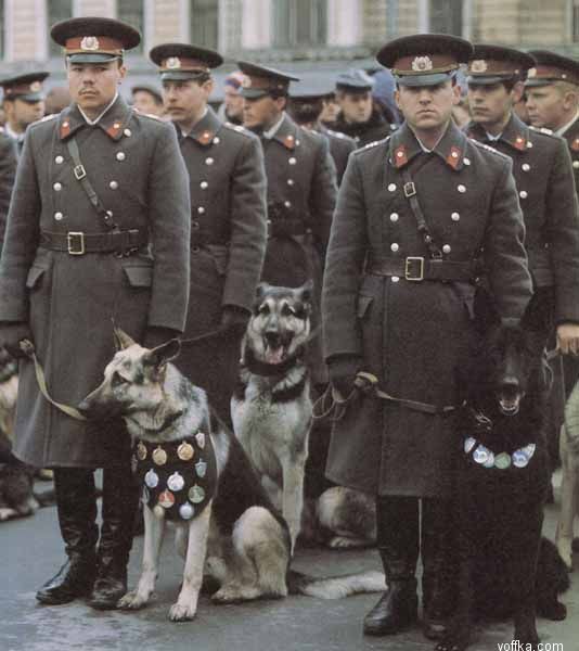 ��������� �������