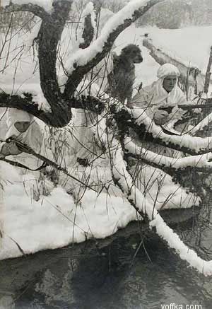 ������� ������������� �����