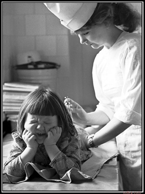 ������ ����