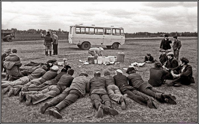 ������ ����