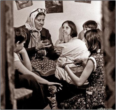 ������ ����