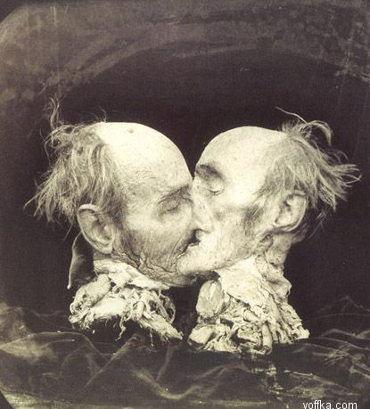 �������� ��������