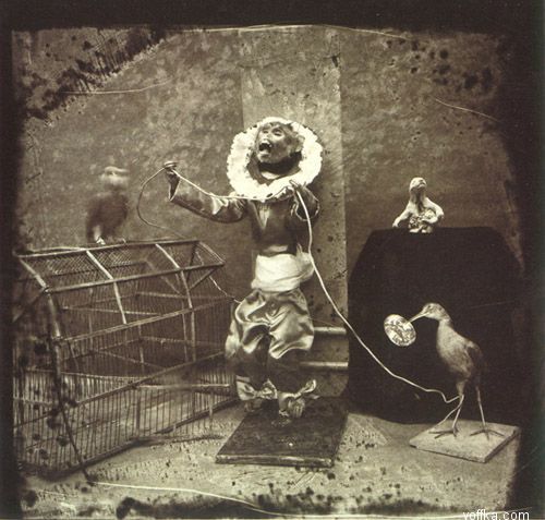 �������� ��������