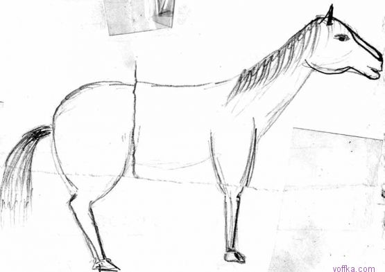 � ������ ������ ������ �����������...