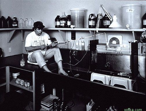 ���������� ��������