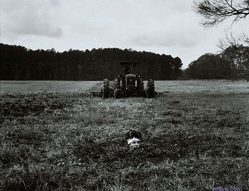 ���������� ��������