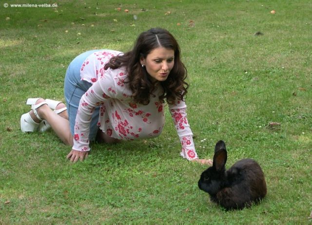 �����-������