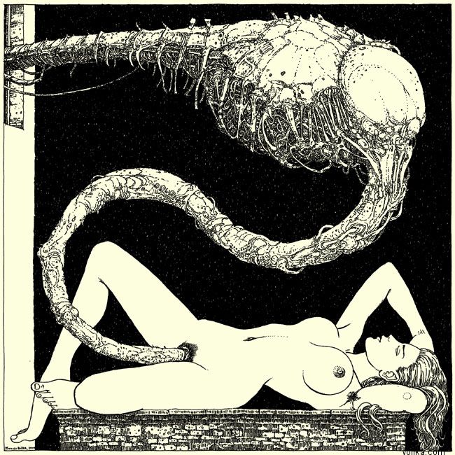 ����-�������