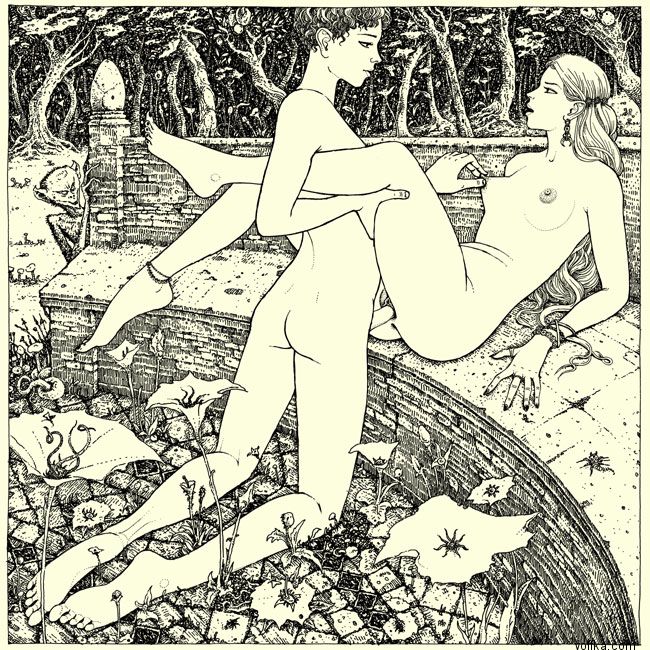 ����-�������