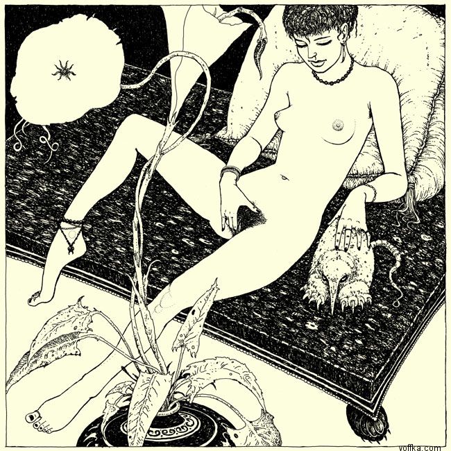 ����-�������