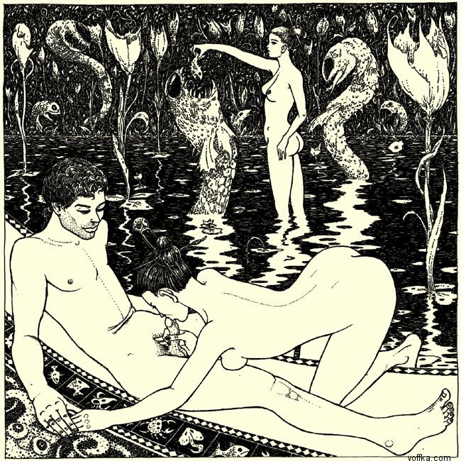 ����-�������